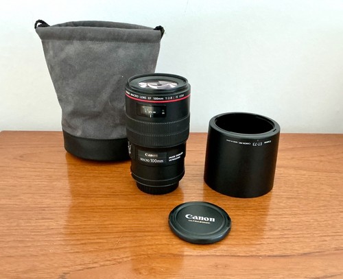 Canon 100mm obiettivo - obiettivo, macro