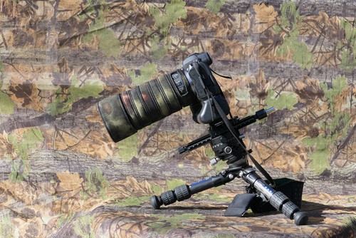 Canon 100 8 macro - rf,